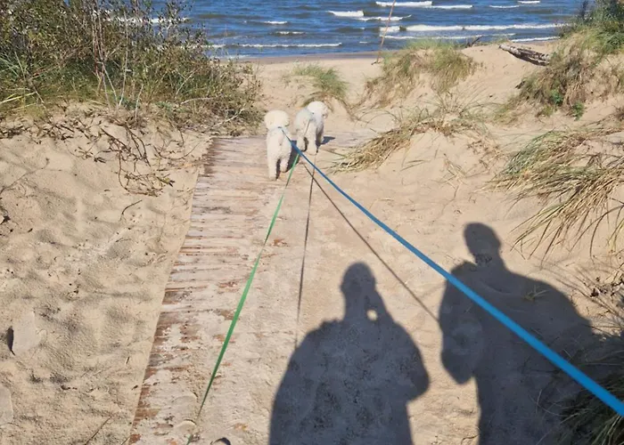 Lägenhet Apartamentai Morning Dew - Takas I Jura 2